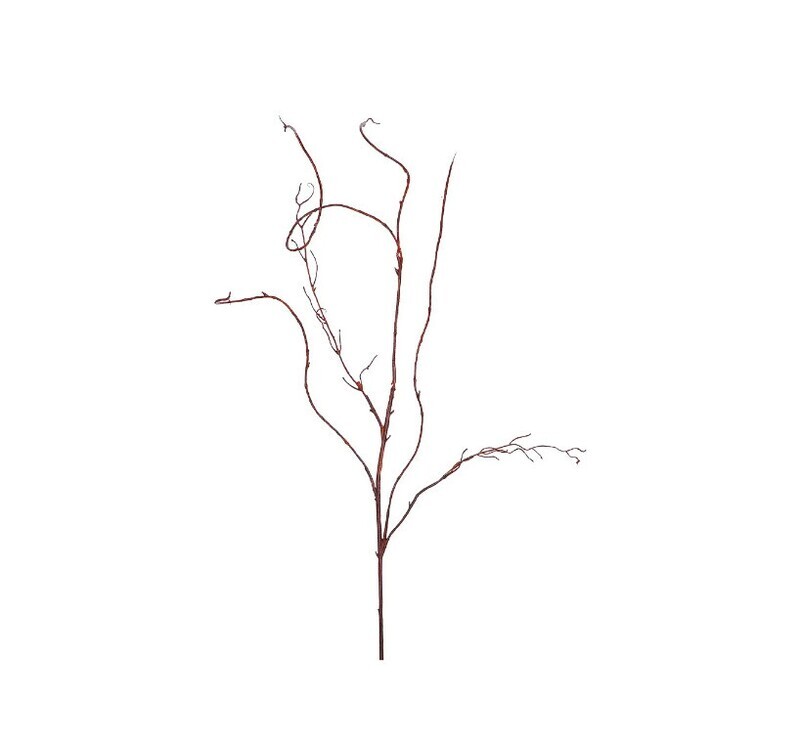 Curly Willow Vine 48&quot;