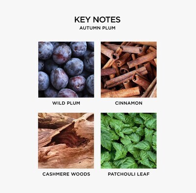 Nest Reed Diffuser Autumn Plum