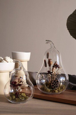 Pear Terrarium Pear Terrarium