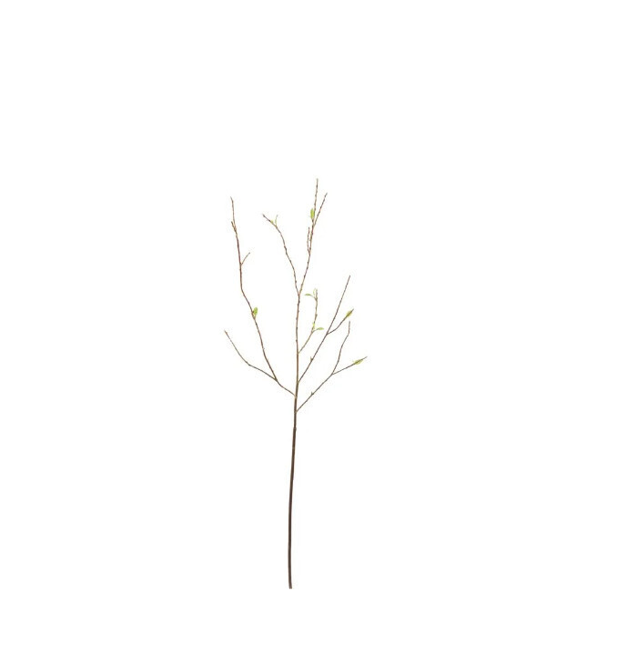 Twig 39.5&quot; Brown