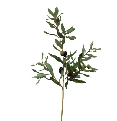 Olive Leaf Med