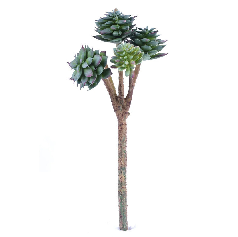 Rounded Succulent Pick 10.5&quot;