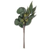 22&quot; Mixed Eucalyptus Bundle (3 Stems)