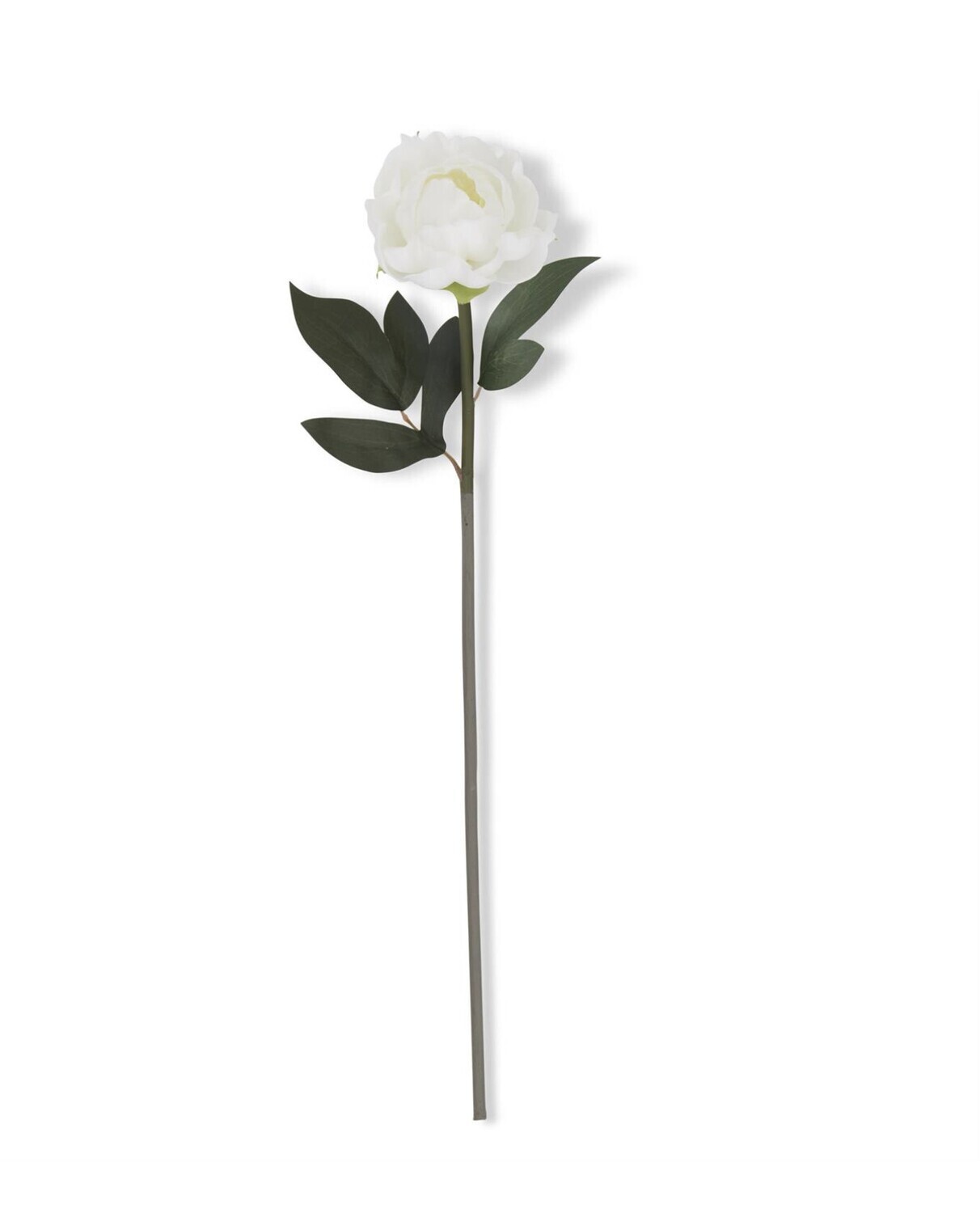 20&quot; WHITE REAL TOUCH PEONY STEM
