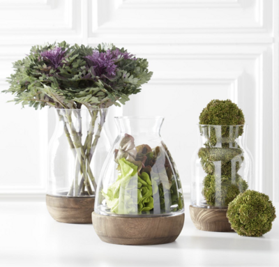 Sedum Ball Dark Green