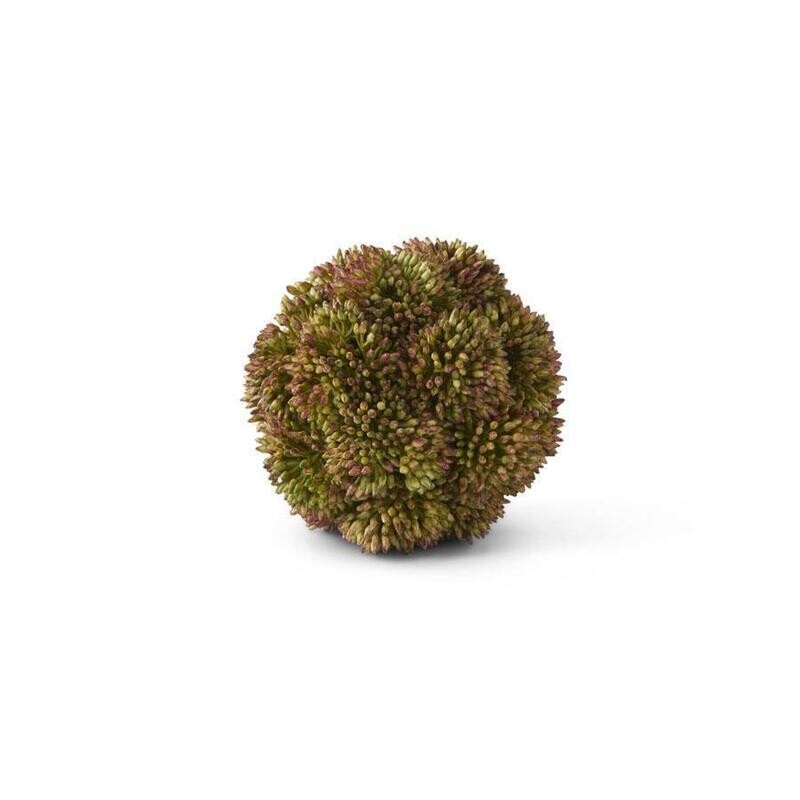 Sedum Ball Dark Green