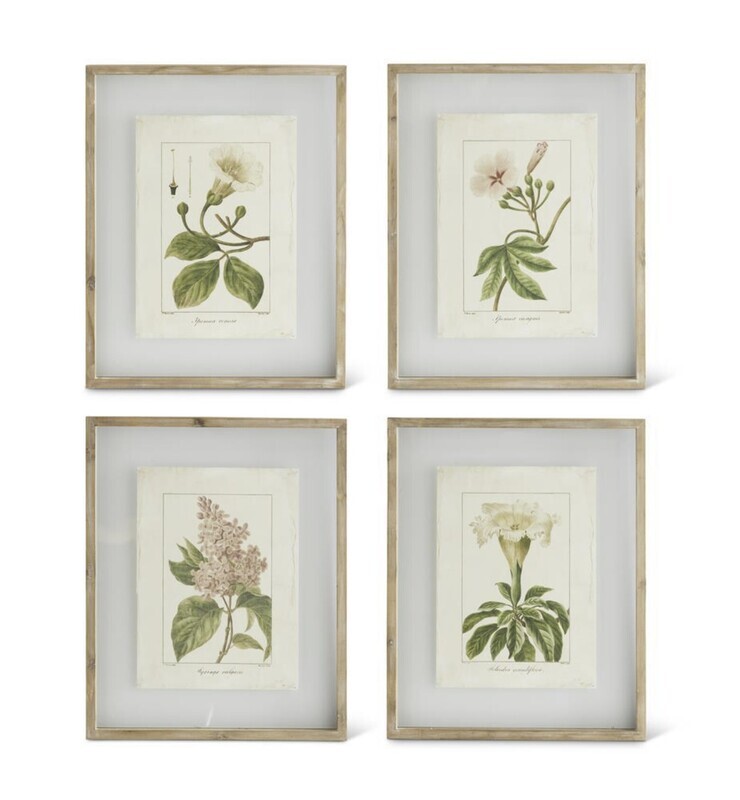 21.5&quot; Botanical Prints