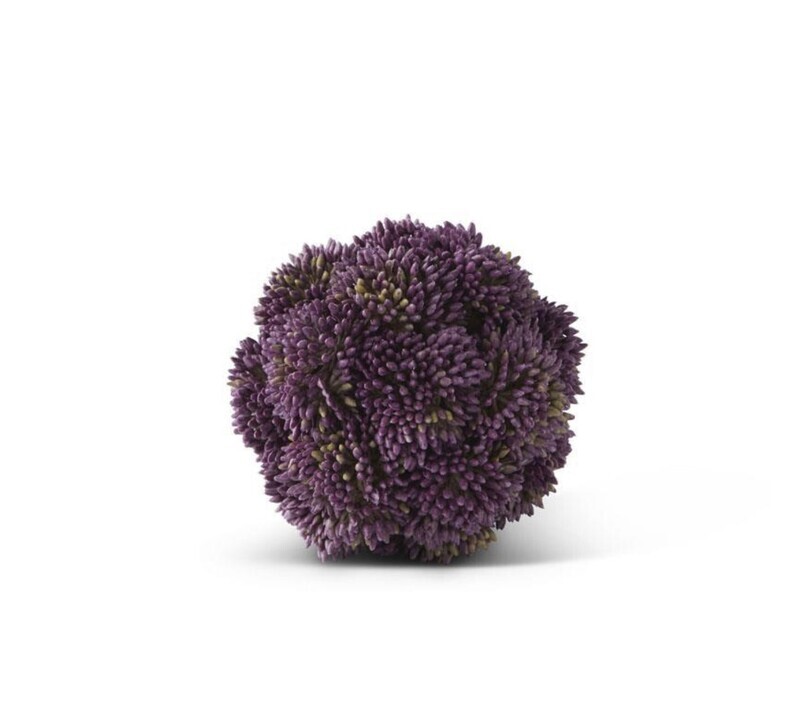 Sedum Ball Dark Purple