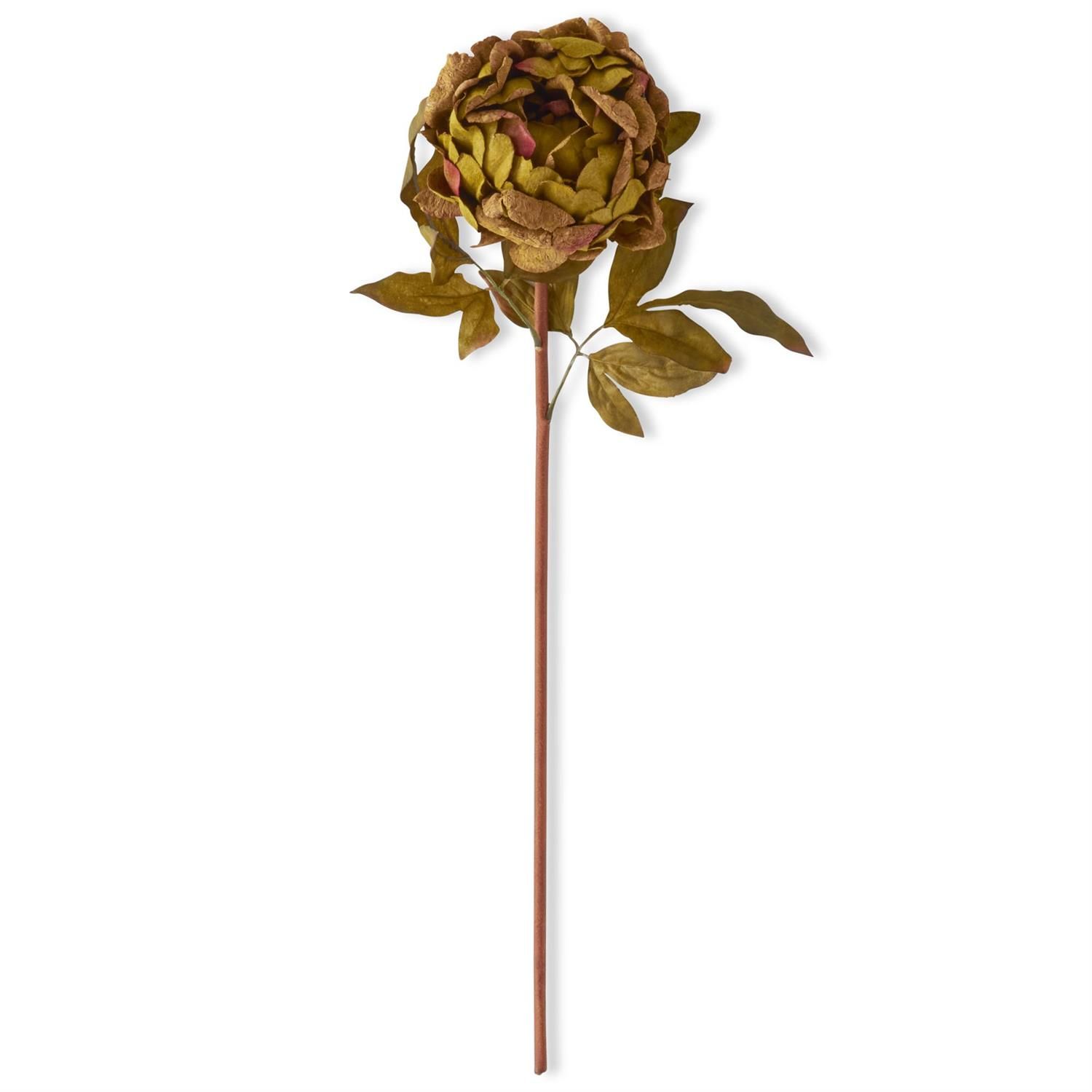 28.5" Green &amp; Burgundy Cork Peony Stem