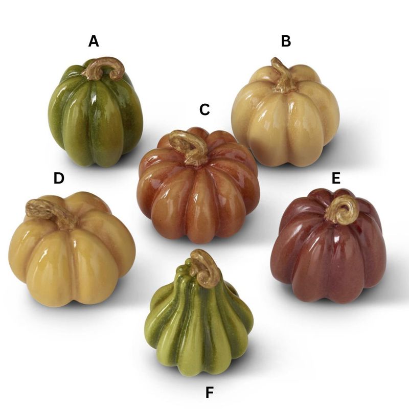 Fall Colored Mini Pumpkins