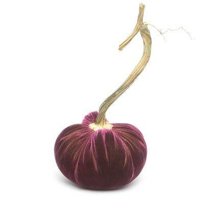 Hot Skwash Eggplant Silk Velvet Pumpkin 3&quot;