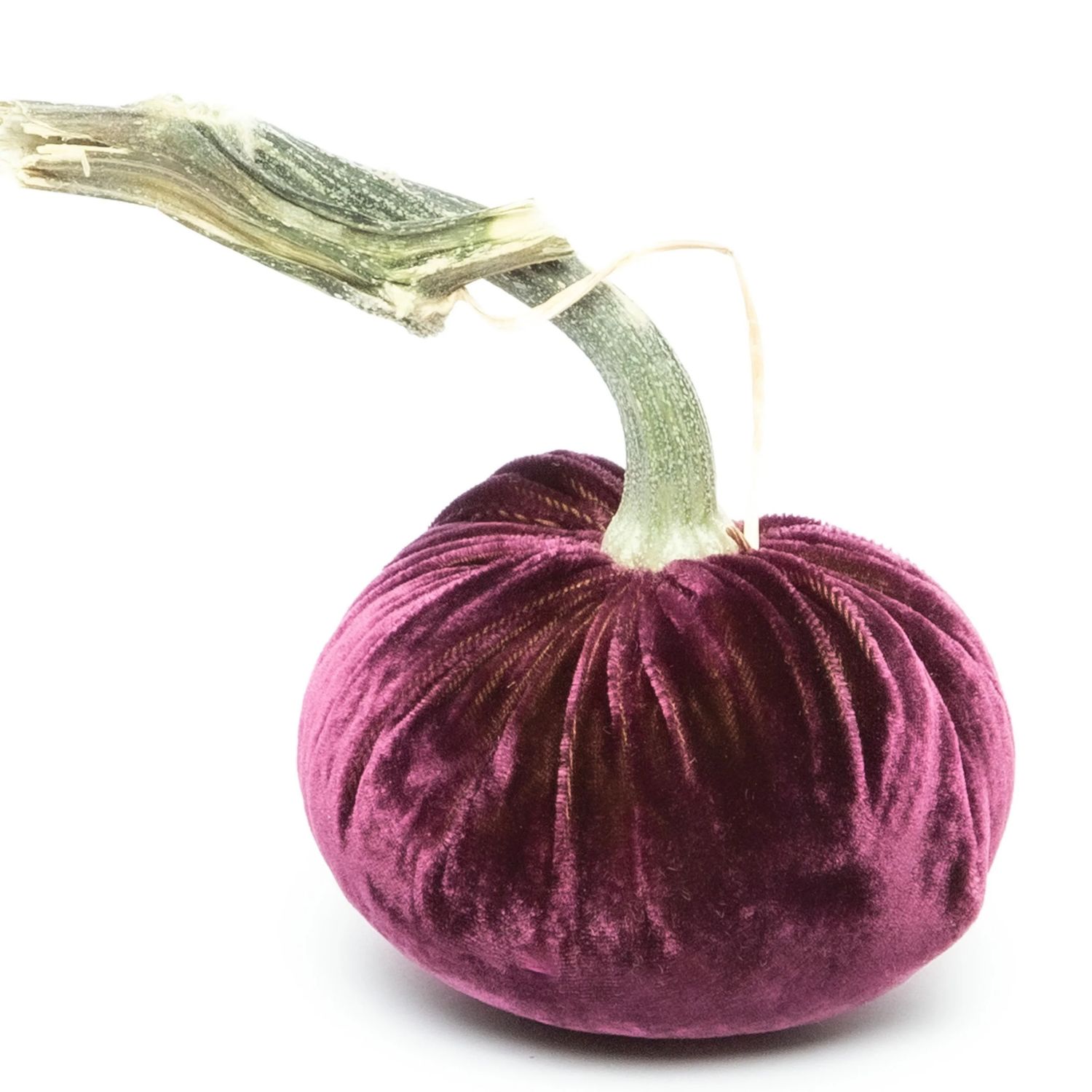 Hot Skwash Eggplant Silk Velvet Pumpkin 5&quot;