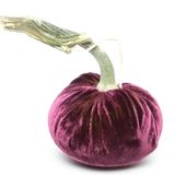 Hot Skwash Eggplant Silk Velvet Pumpkin 5&quot;