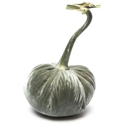 Hot Skwash Willow Silk Velvet Pumpkin 4&quot;