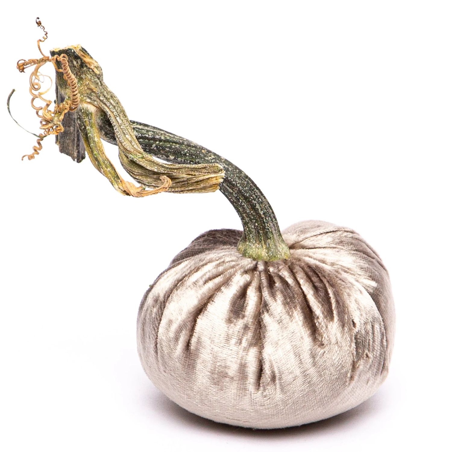 Hot Skwash Platinum Silk Velvet Pumpkin 6&quot;