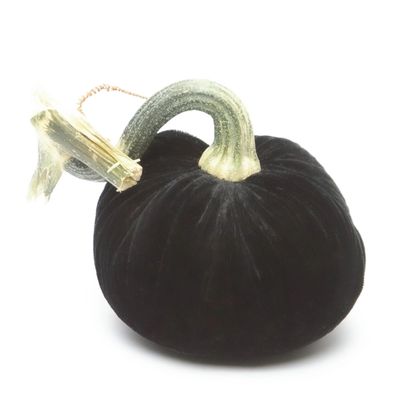 Hot Skwash Ebony Silk Velvet Pumpkin 4&quot;