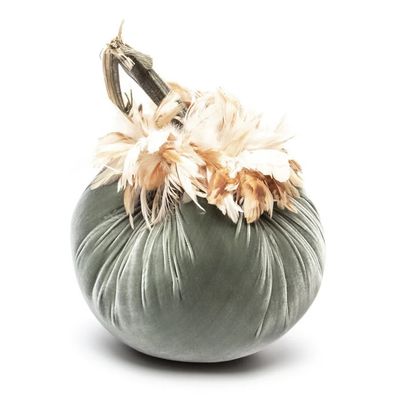 Hot Skwash Willow w/Ginger Collar Pumpkin 8&quot;