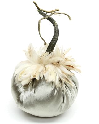 Hot Skwash Platinum w/Ginger Collar Pumpkin