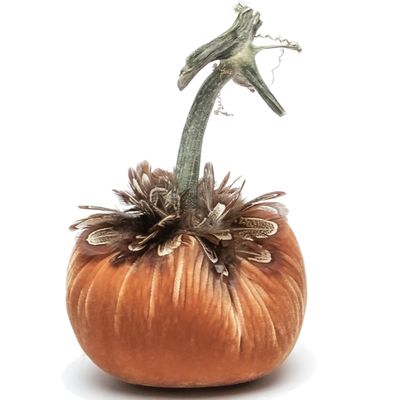 Hot Skwash Spice w/Pheasant Collar Pumpkin 5&quot;