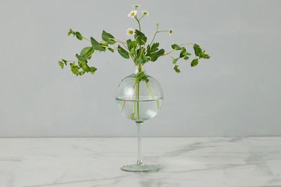 Sage Wine Glass Vase, Medium