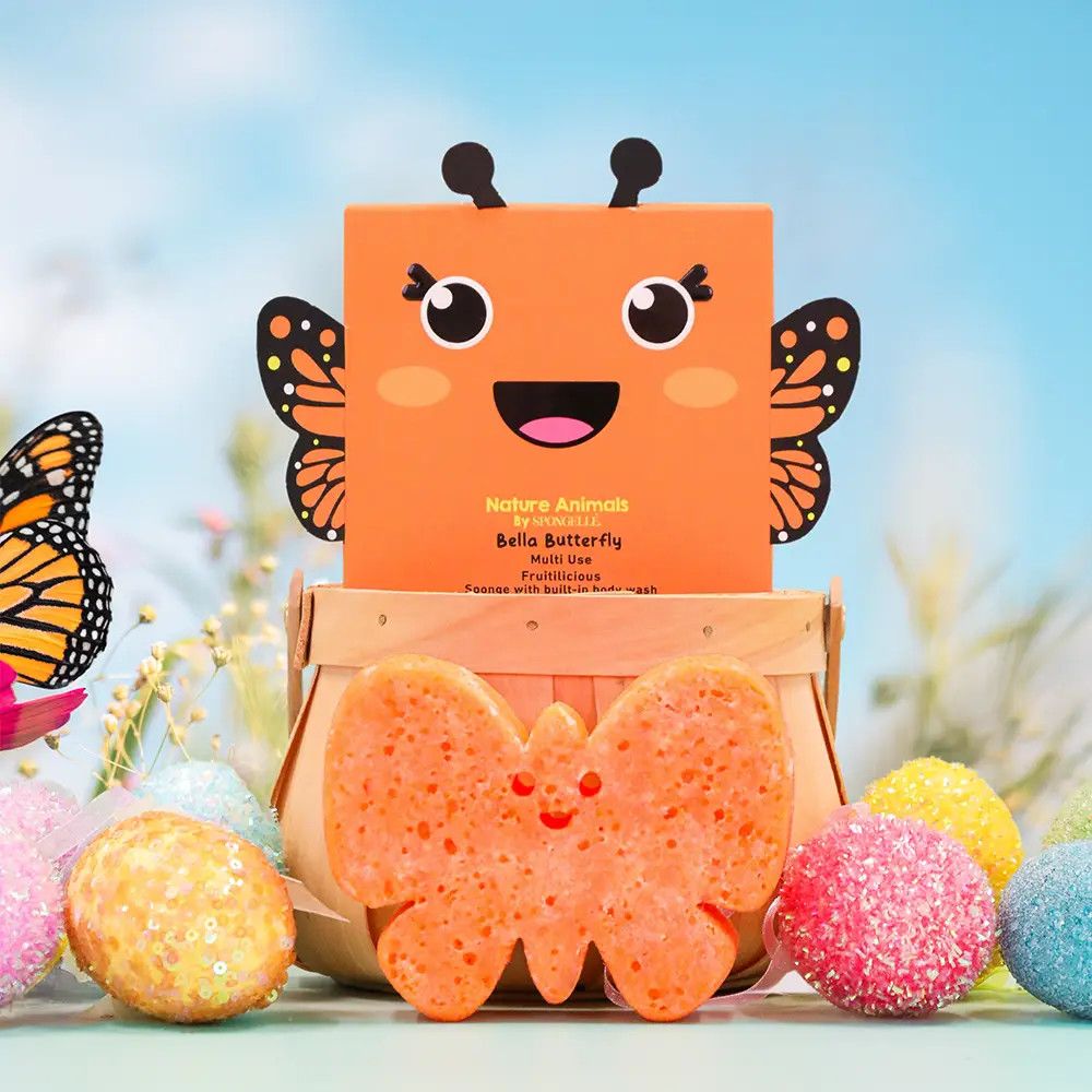 Bella Butterfly Nature Animals Sponge