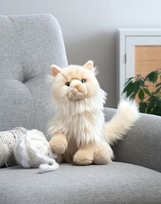 The Heritage Collection Ragamuffin Cat