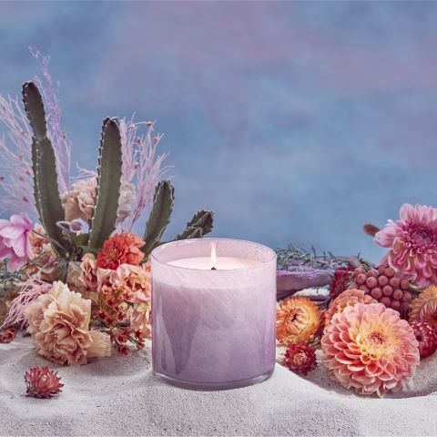 Midnight Cactus Classic 15.5oz Candle