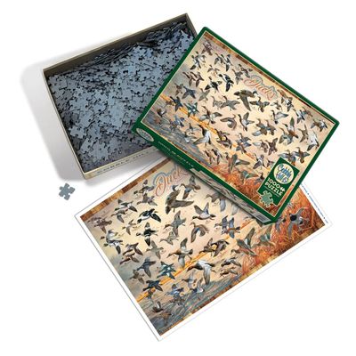 Ducks of North America 1000pc Puzzle