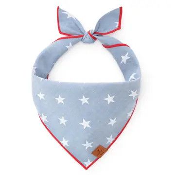 Liberty Summer Dog Bandana Lg