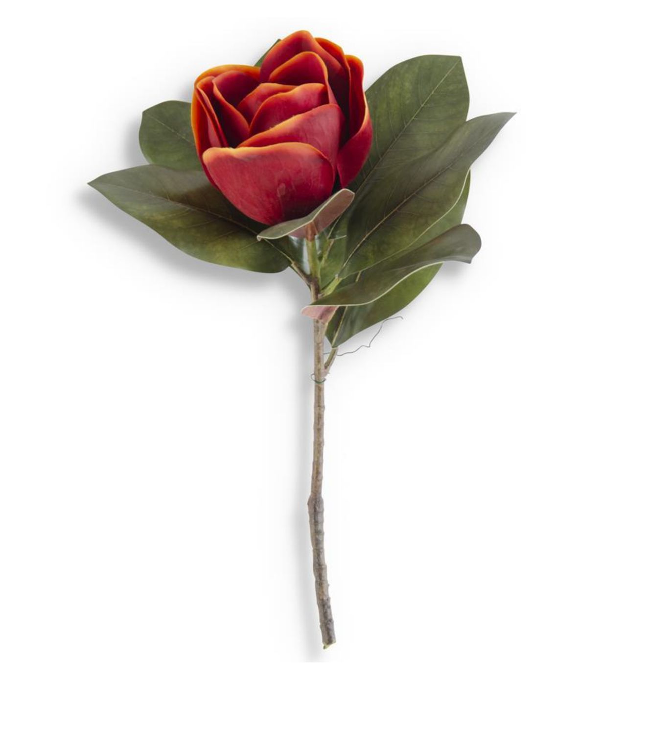17&quot; Orange Magnolia Stem