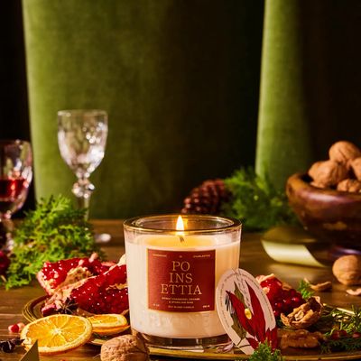 Poinsettia Holiday Candle 6oz
