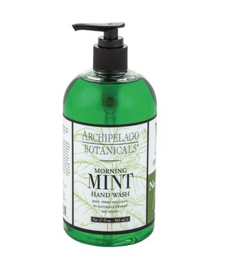 Morning Mint 17 oz. Hand Wash Morning Mint 17 oz. Hand Wash