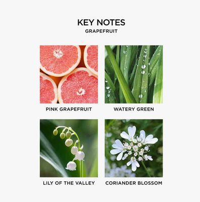 Nest Candle 3-Wick Grapefruit