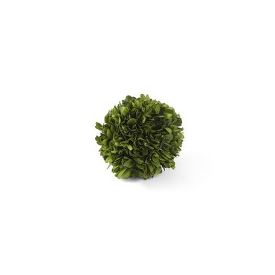 4" Preserved Boxwood Mini Ball