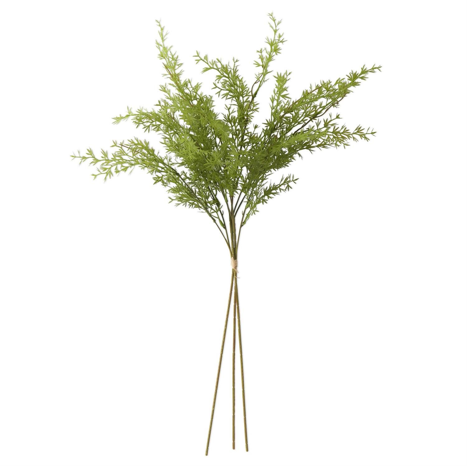 27" Water Sprite Fern Bundle (3 Stem)