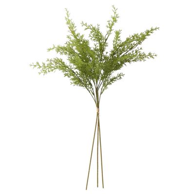 27" Water Sprite Fern Bundle (3 Stem)