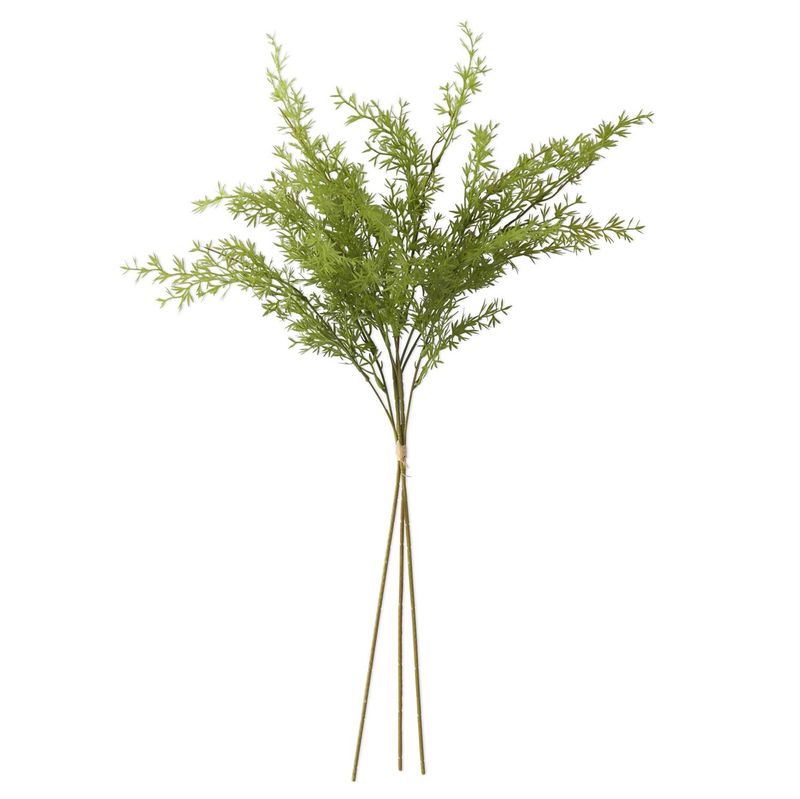 27" Water Sprite Fern Bundle (3 Stem)