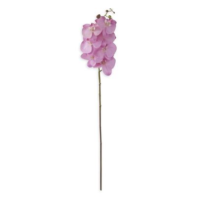 34.5" Purple Orchid Stem