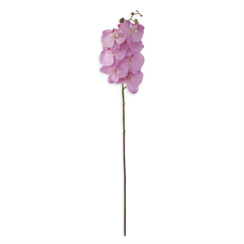34.5" Purple Orchid Stem