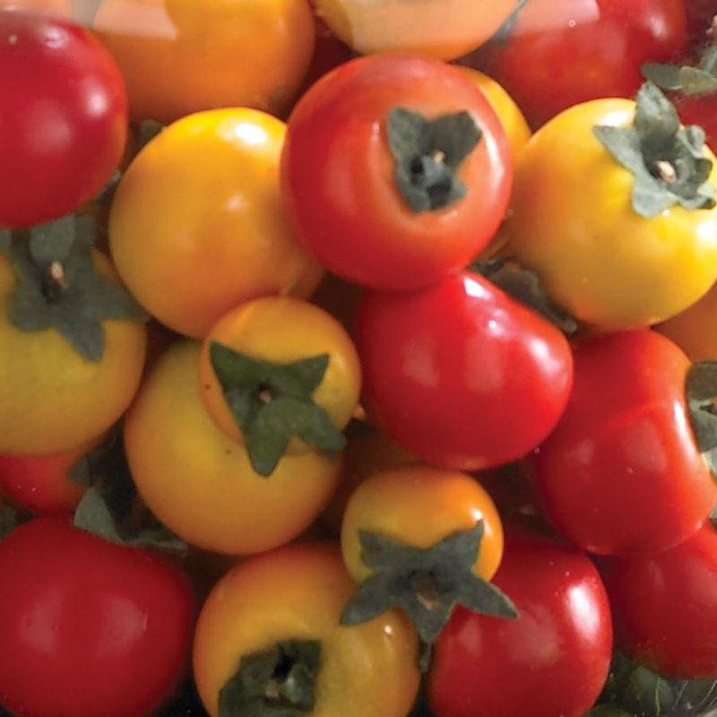 1.5" Mixed Color Mini Tomatoes