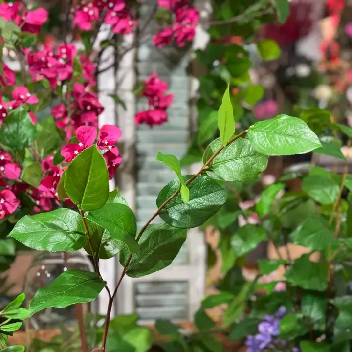 30" Salal Leaf Spray