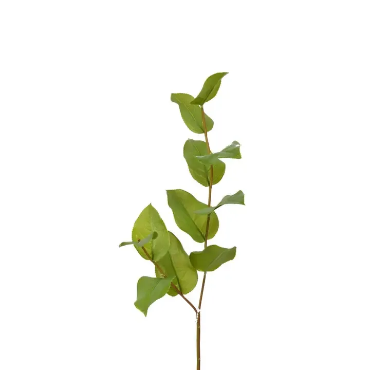 30" Salal Leaf Spray