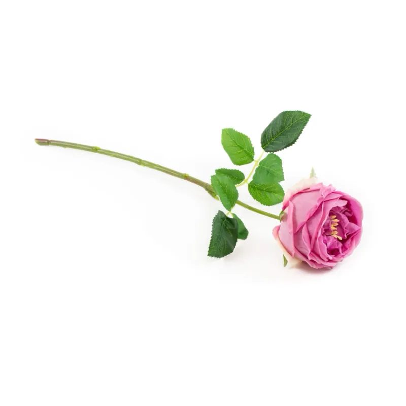17" Real Touch Mauve English Rose