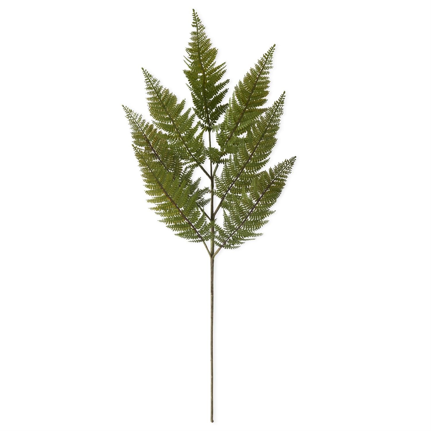 36" Fern Stem