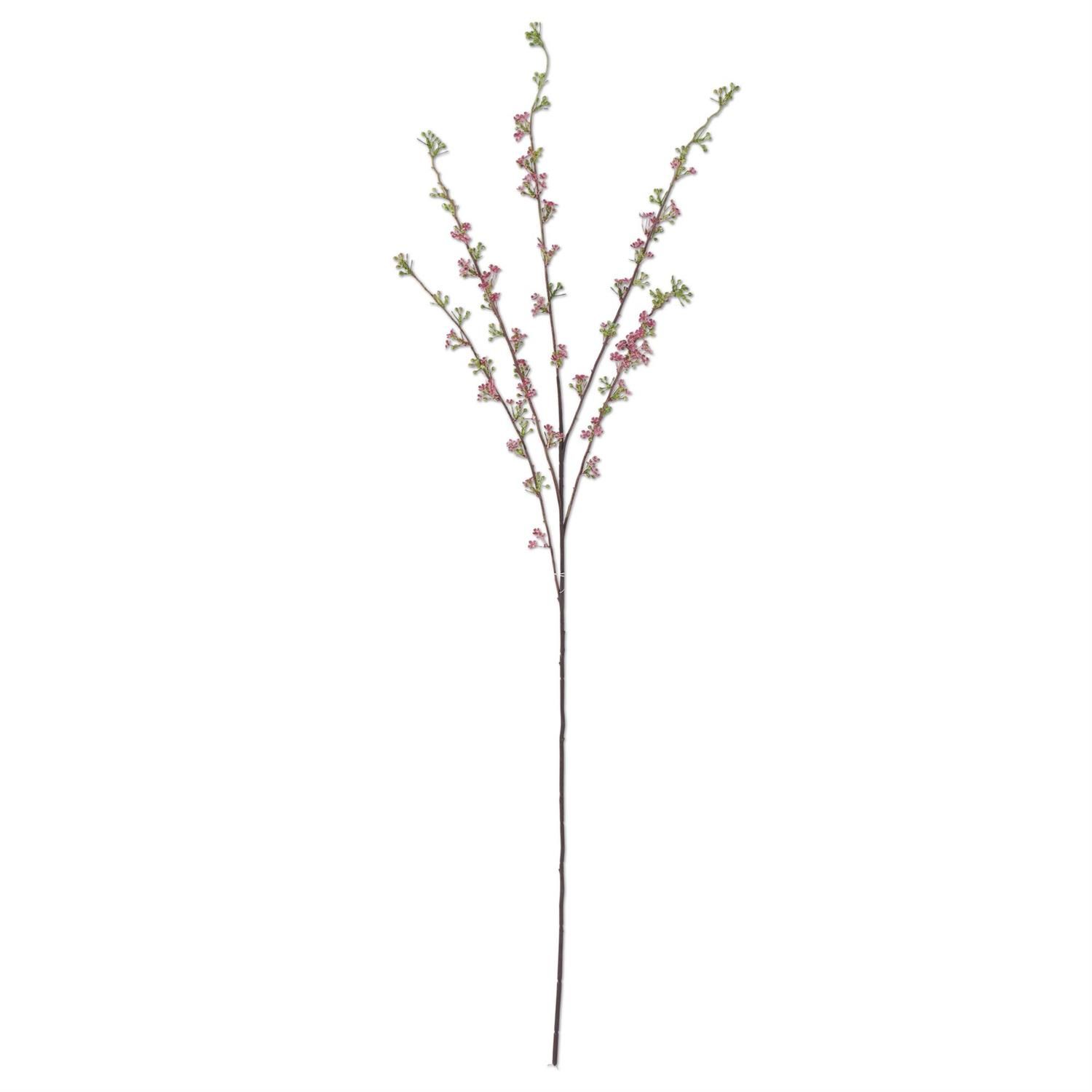 46" Pink Hoary Willow Spray