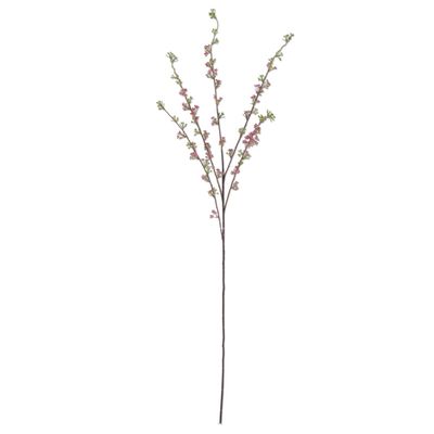 46" Pink Hoary Willow Spray