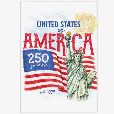 USA 250 Years Bagged Towel