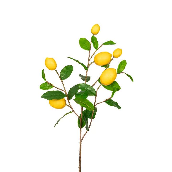 40" Lemon Branch