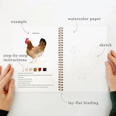 Watercolor Workbook Animals