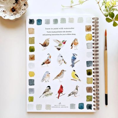 Watercolor Workbook Birds